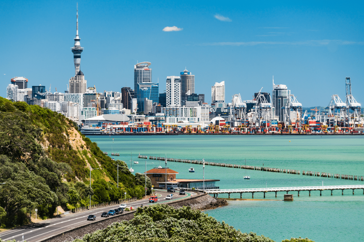 How Much Does a New Build Cost in Auckland?
